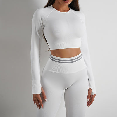 2pcs Seamless Yoga Pants Sports Gym Fitness Leggings